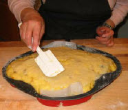 colomba xy23